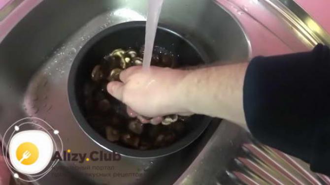 Hvordan tilberede tørket sopp?