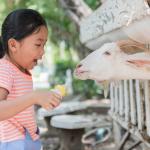 Füttern von Kindern nach dem Lammen